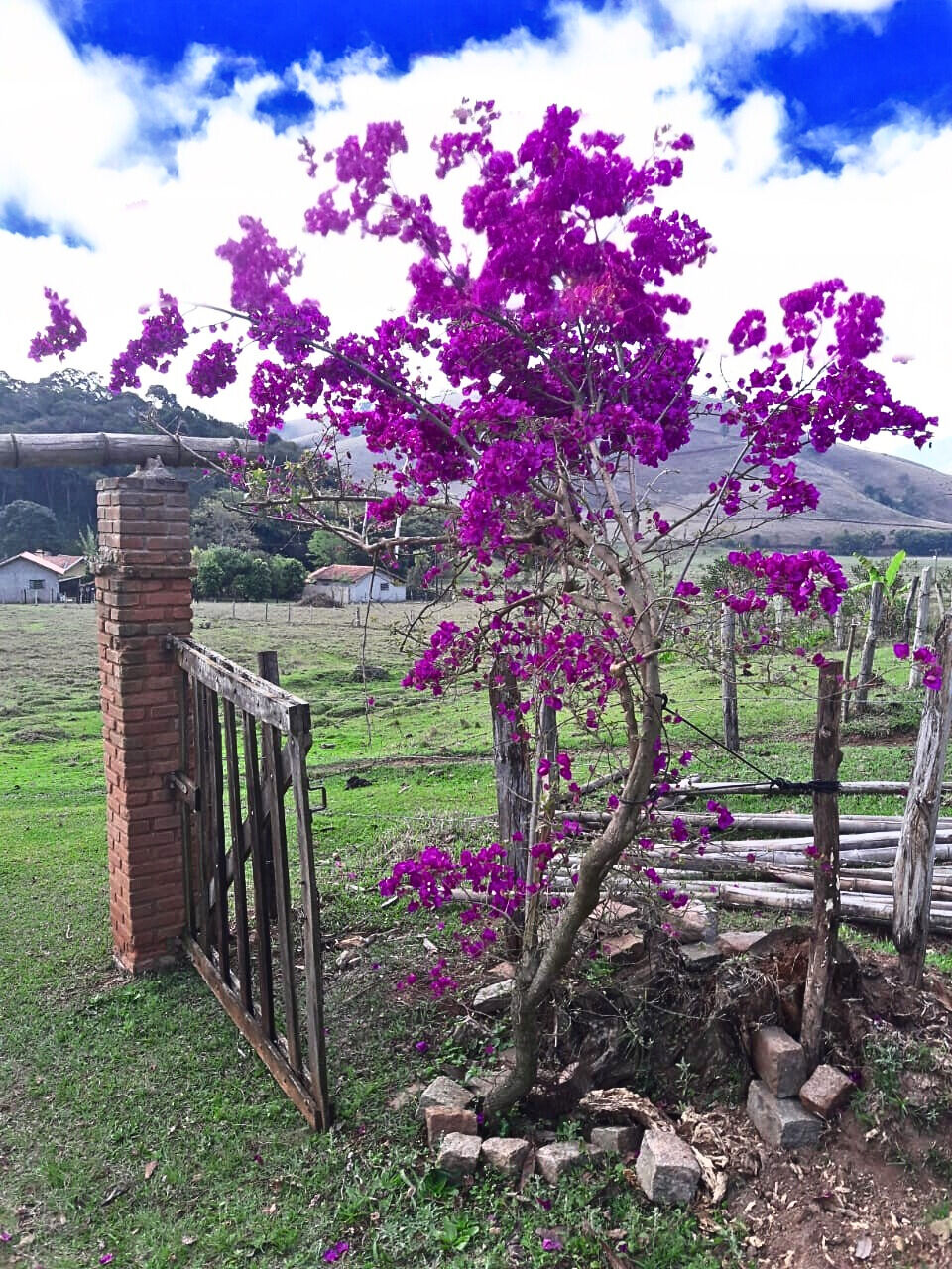 Sítio, 3 quartos, 4 hectares - Foto 25