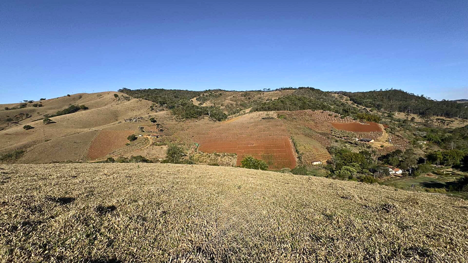 Terreno, 7 hectares - Foto 18