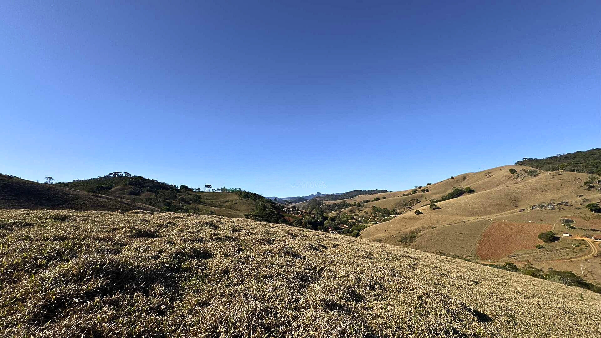 Terreno, 7 hectares - Foto 6