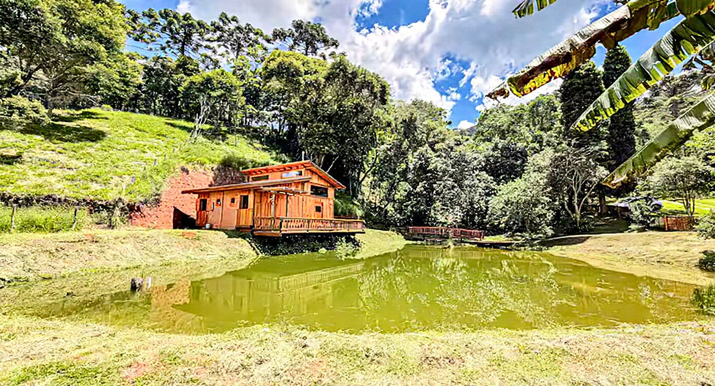 Casa, 7 quartos, 426 m² - Foto 5