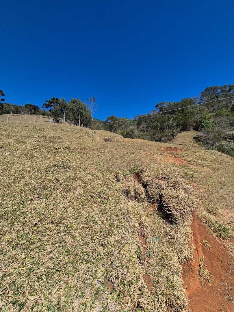Terreno, 73 hectares - Foto 6