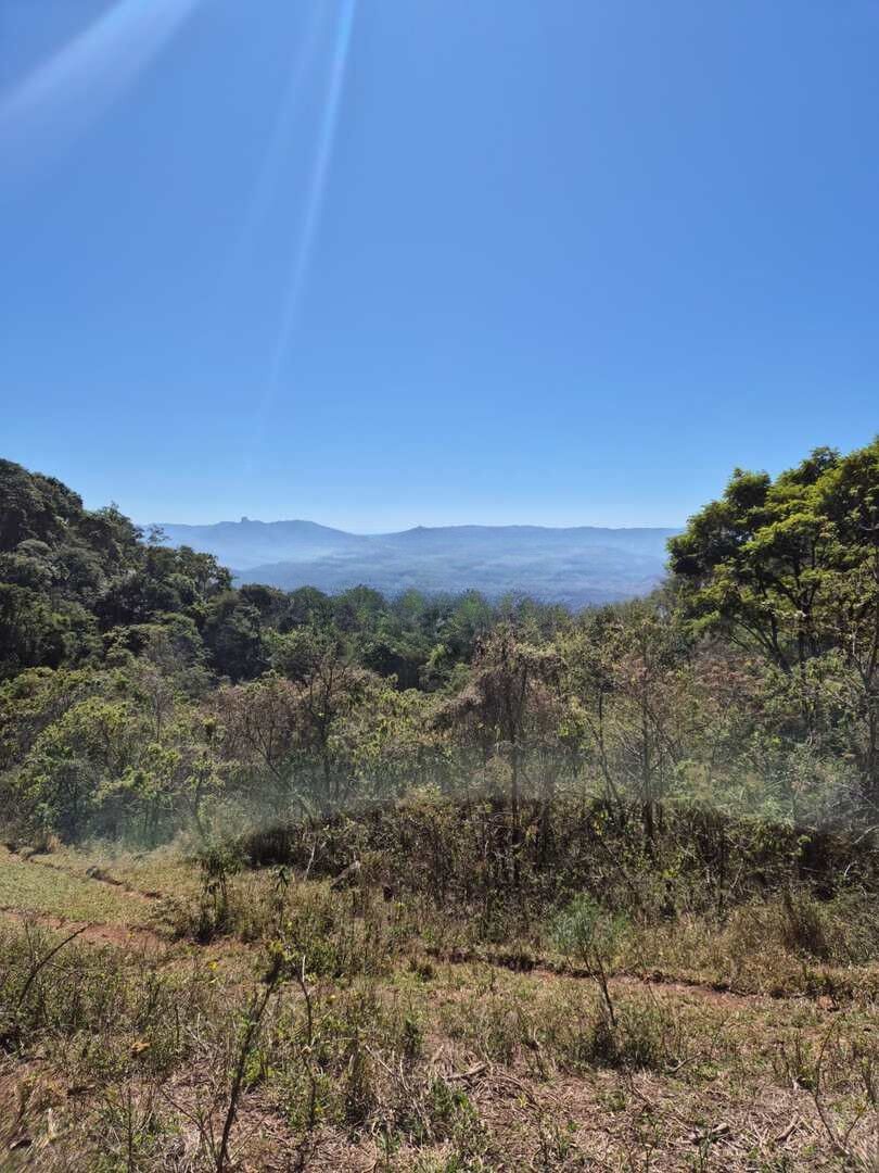 Terreno, 73 hectares - Foto 4