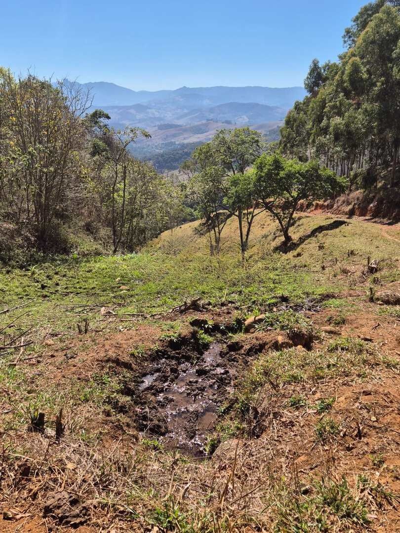 Terreno, 73 hectares - Foto 7