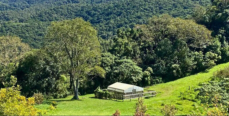 Casa, 3 quartos, 200 m² - Foto 31