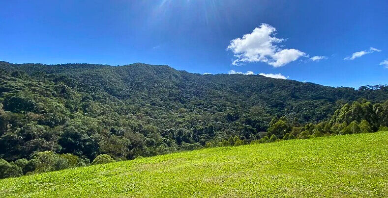 Casa, 3 quartos, 200 m² - Foto 32