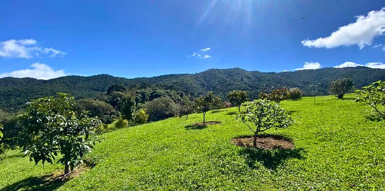 Casa, 3 quartos, 200 m² - Foto 33