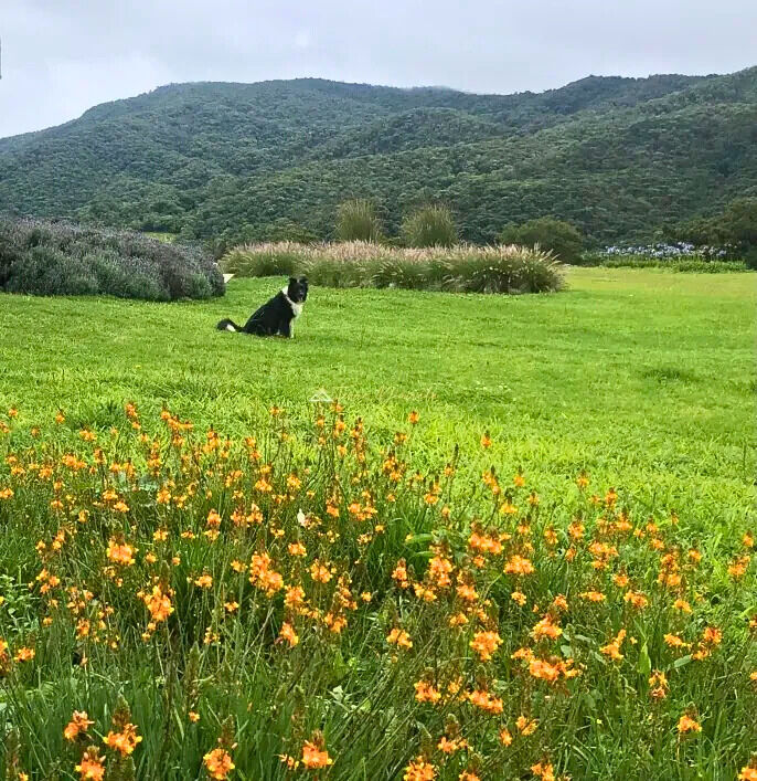 Casa, 3 quartos, 200 m² - Foto 34