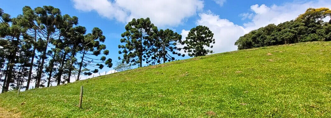 Casa, 3 quartos, 200 m² - Foto 43