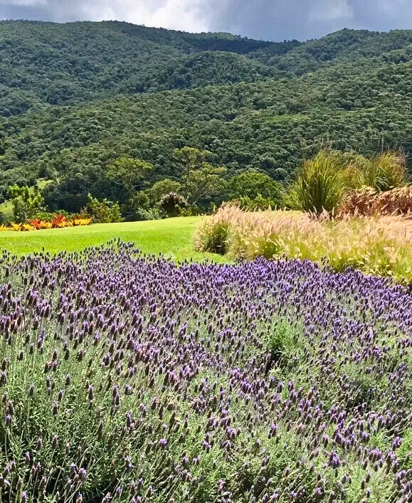 Casa, 3 quartos, 200 m² - Foto 39