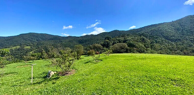 Casa, 3 quartos, 200 m² - Foto 38