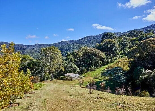 Casa, 3 quartos, 200 m² - Foto 9