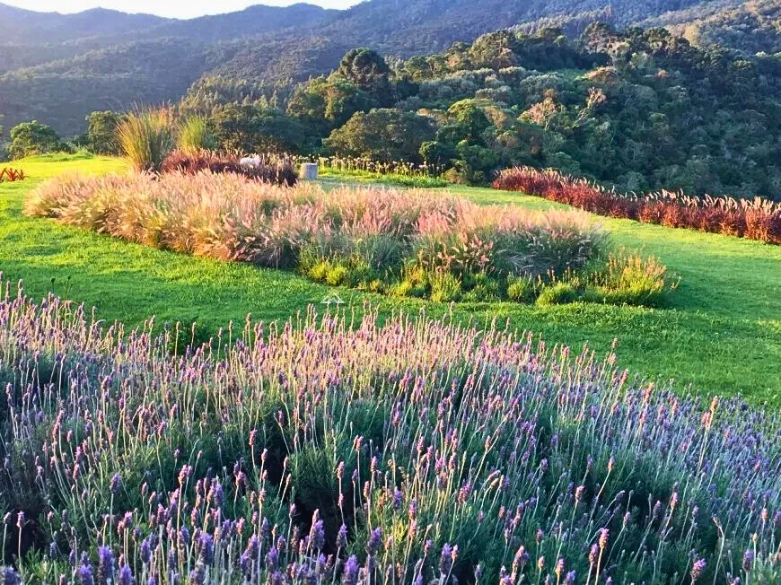 Casa, 3 quartos, 200 m² - Foto 40