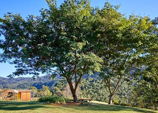 Casa, 3 quartos, 200 m² - Foto 14