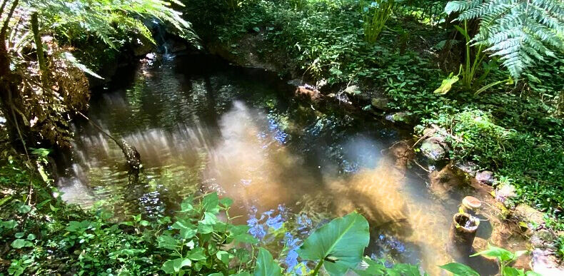 Casa, 3 quartos, 200 m² - Foto 17