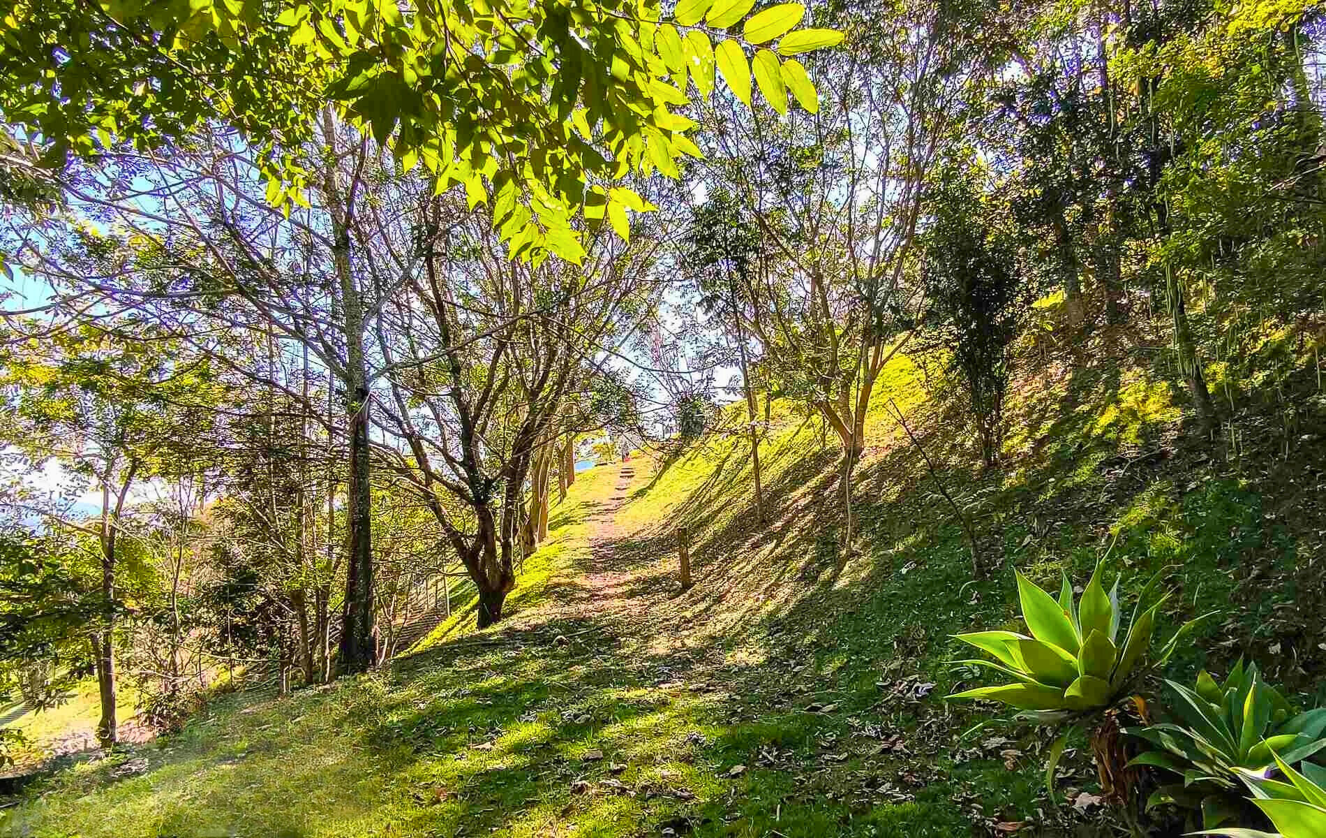 Casa, 9 quartos, 780 m² - Foto 9