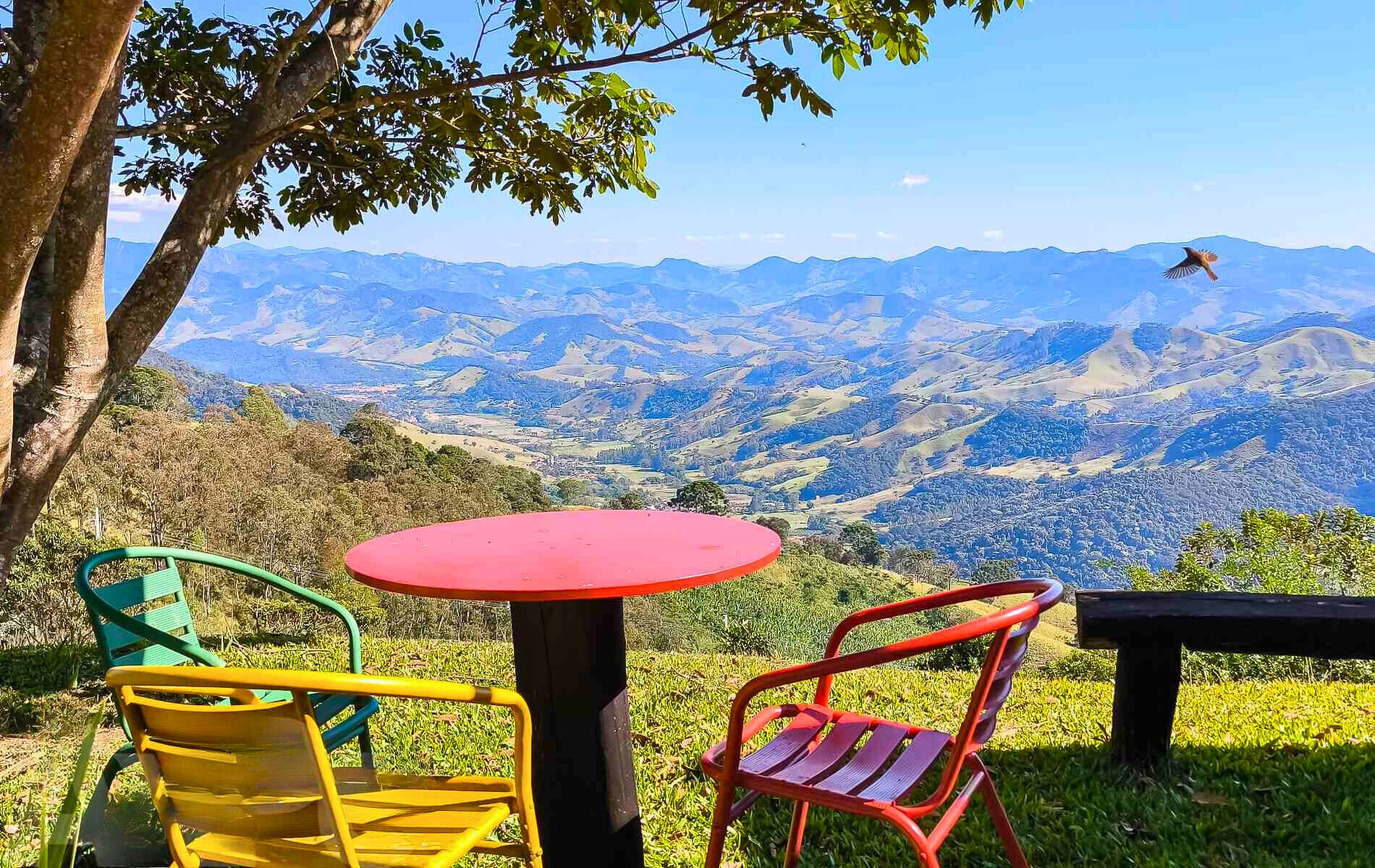 Casa, 9 quartos, 780 m² - Foto 8