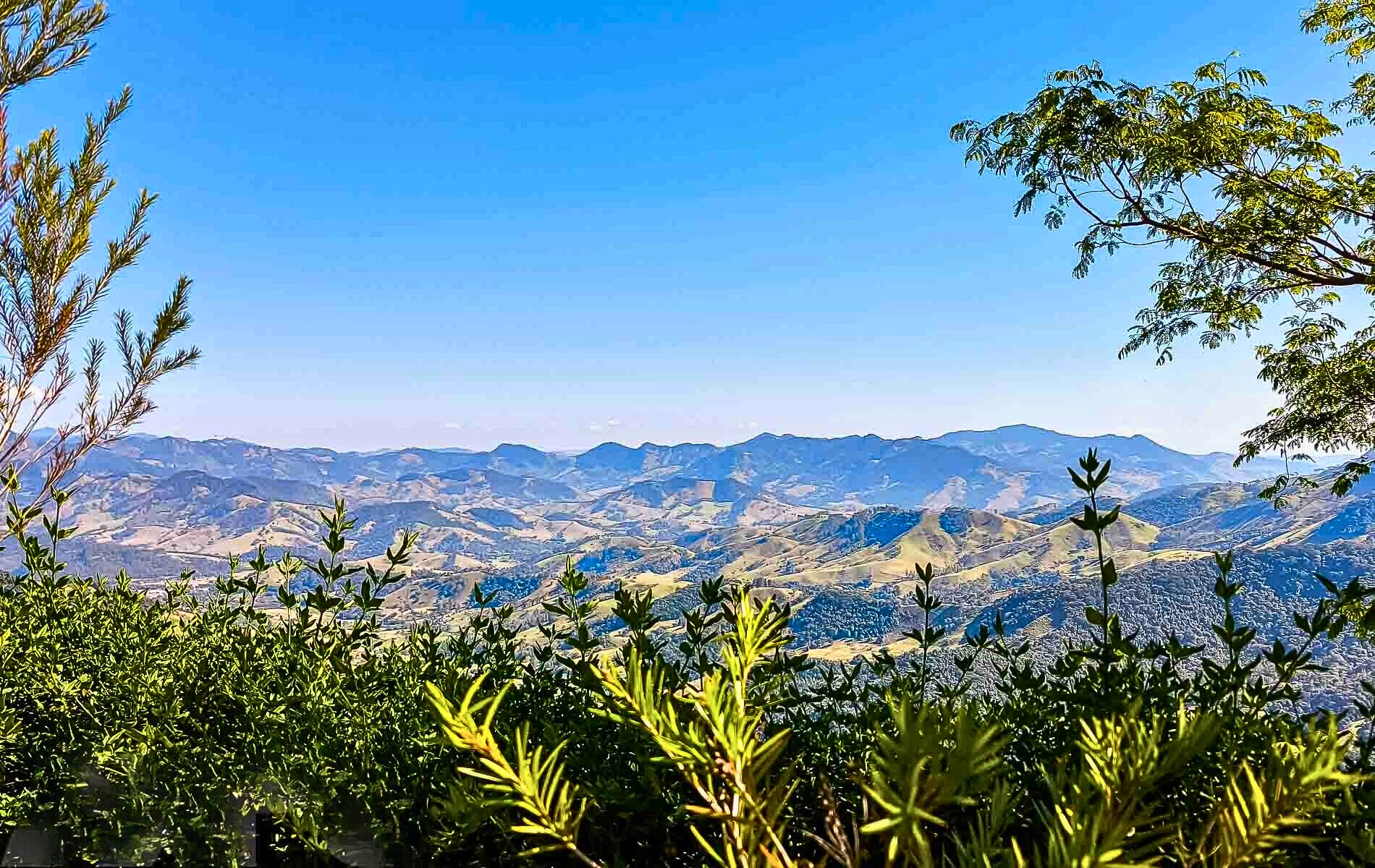 Casa, 9 quartos, 780 m² - Foto 10