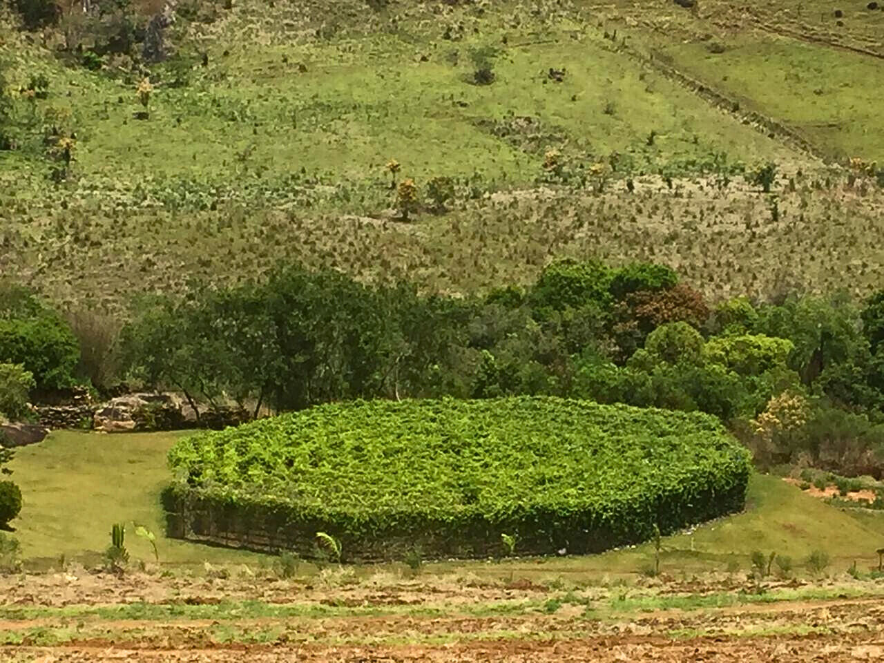 Hotel, 22 quartos, 363000 m² - Foto 7