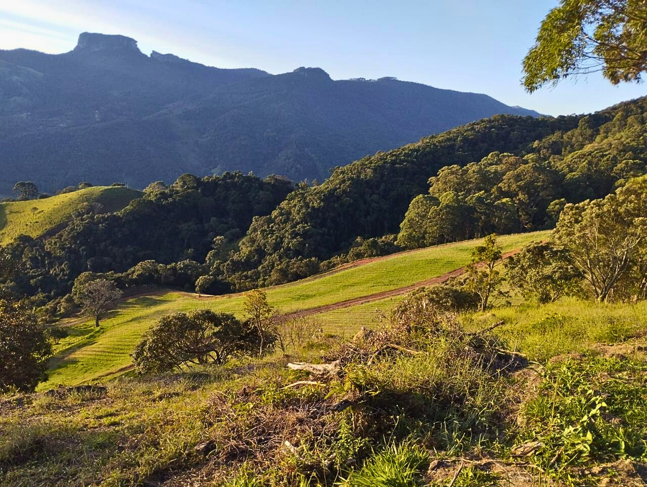 Terreno, 14 hectares - Foto 8