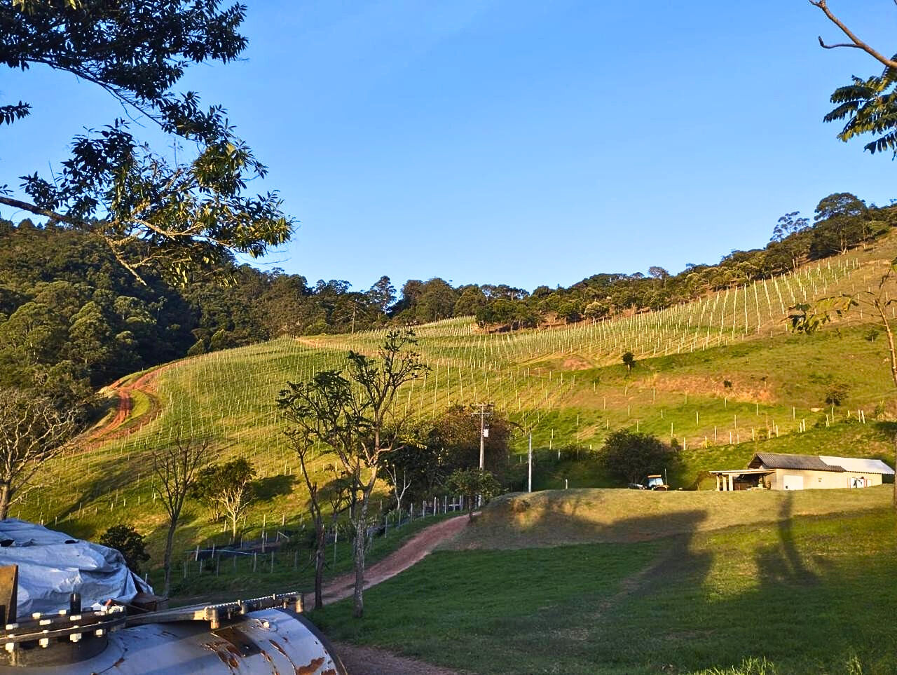 Terreno, 14 hectares - Foto 7