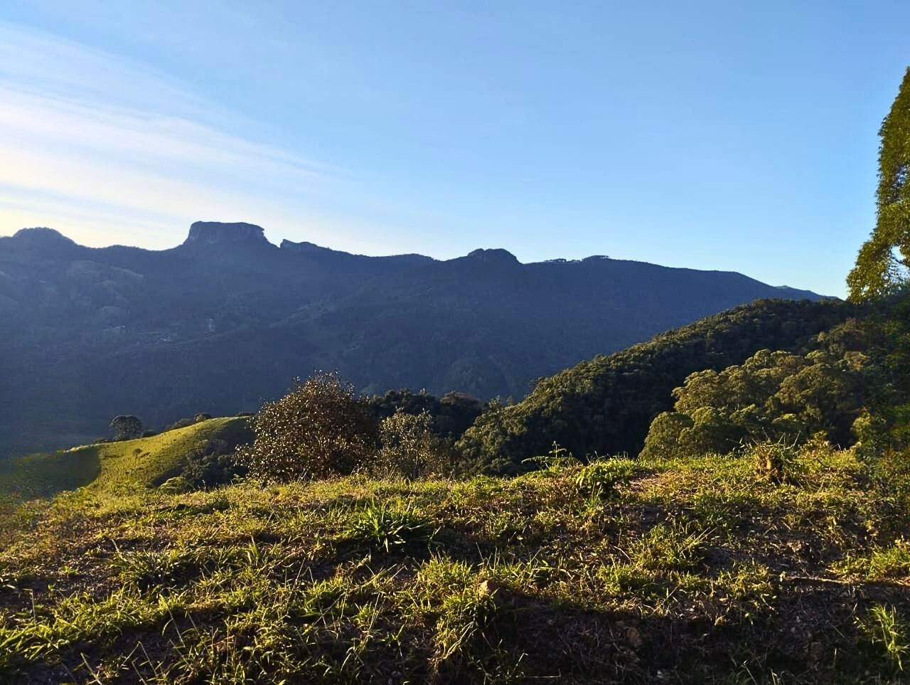 Terreno, 14 hectares - Foto 9