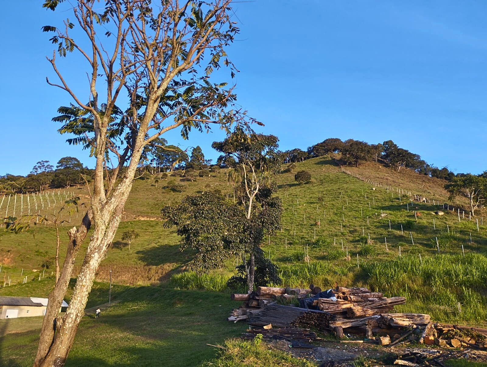 Terreno, 14 hectares - Foto 1