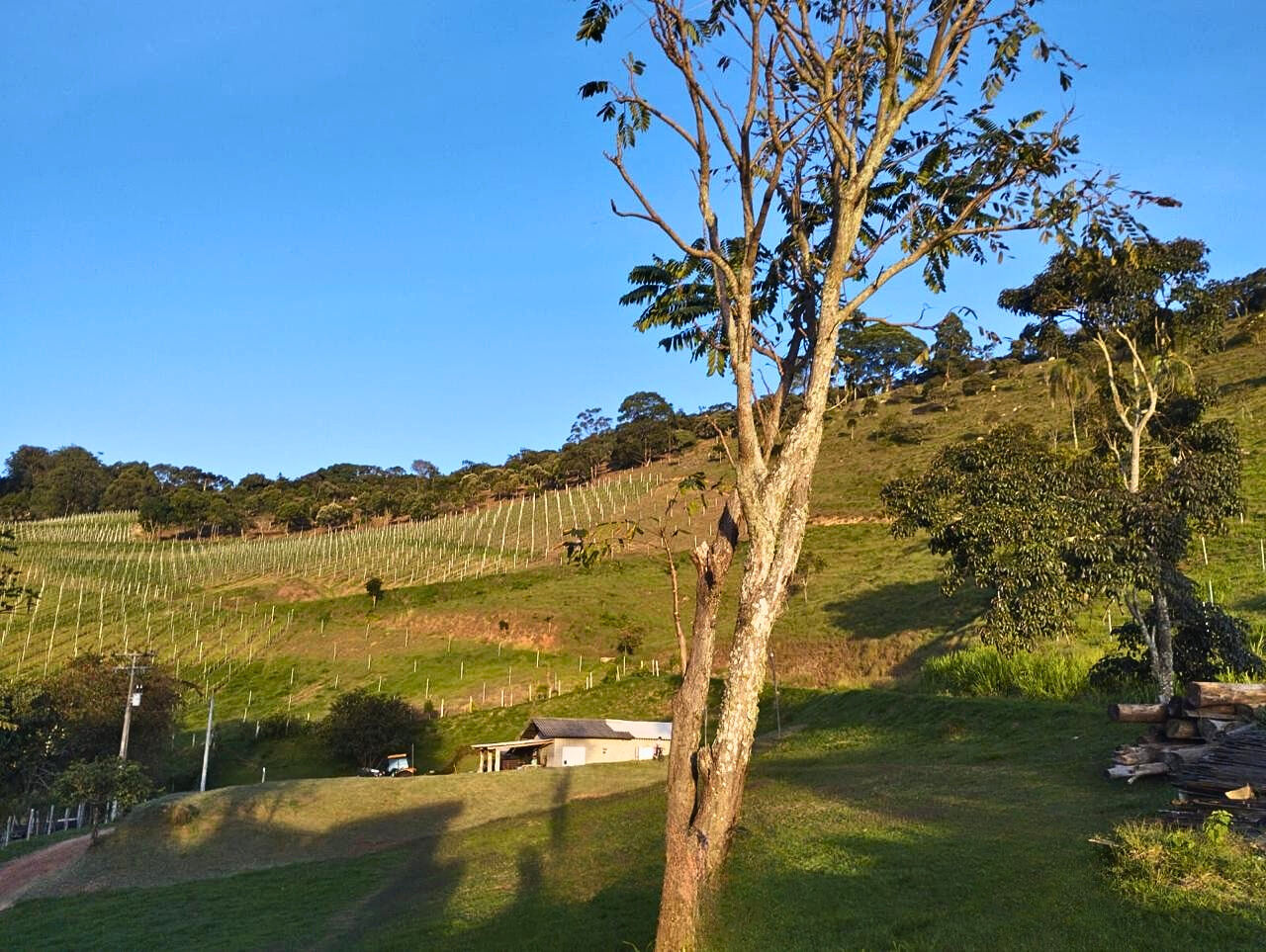 Terreno, 14 hectares - Foto 10