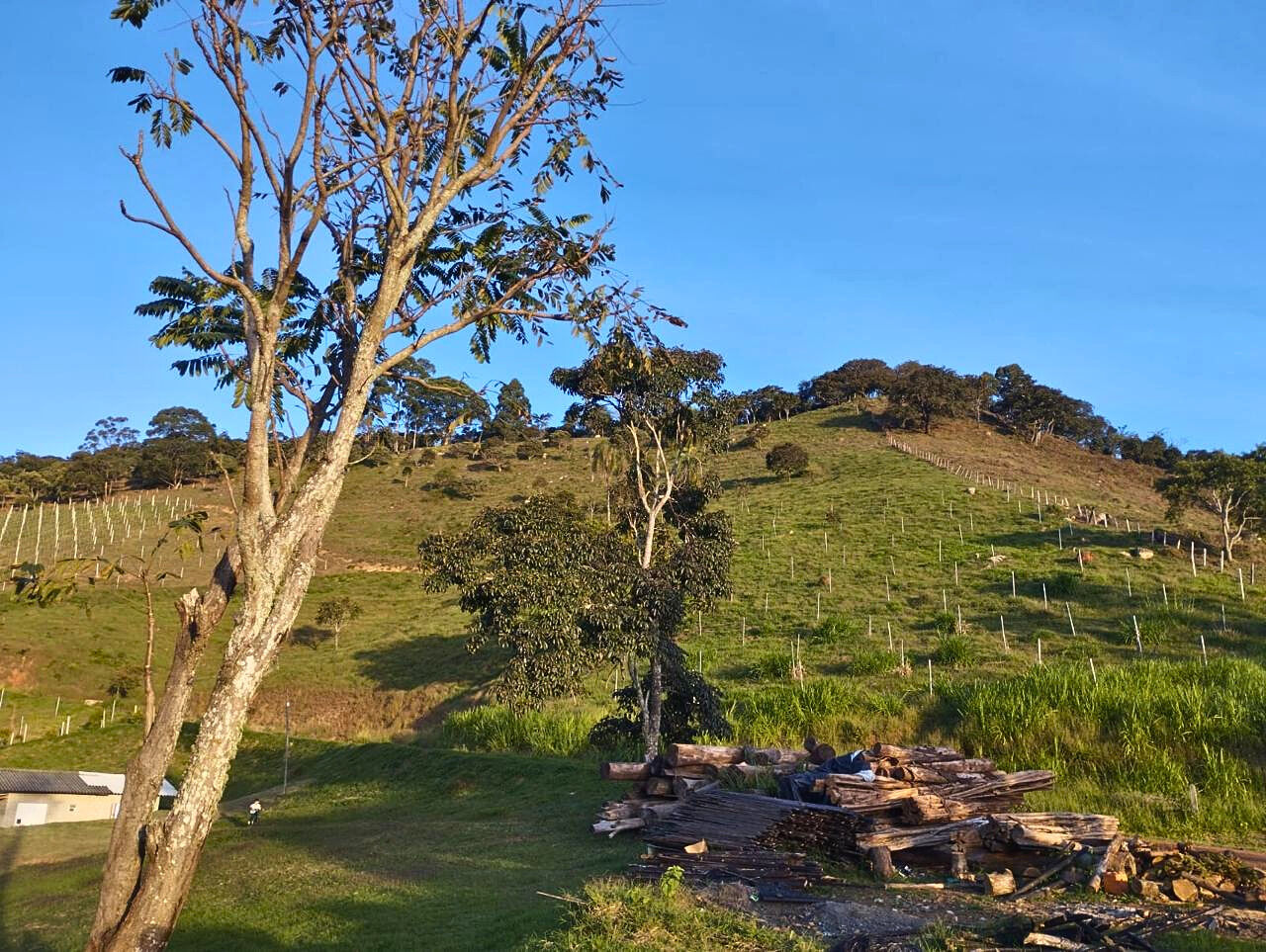 Terreno, 14 hectares - Foto 11