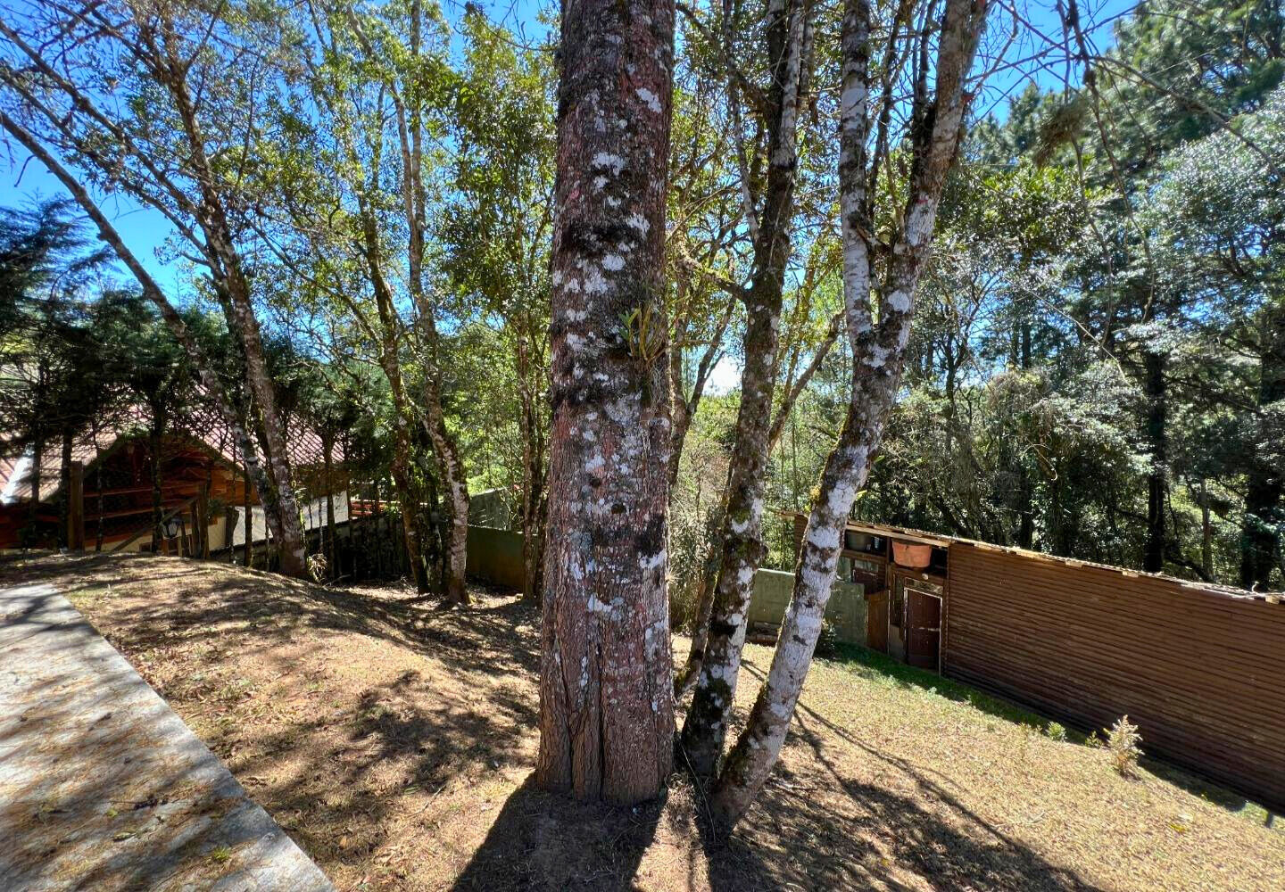 Casa, 6 quartos, 146 m² - Foto 12