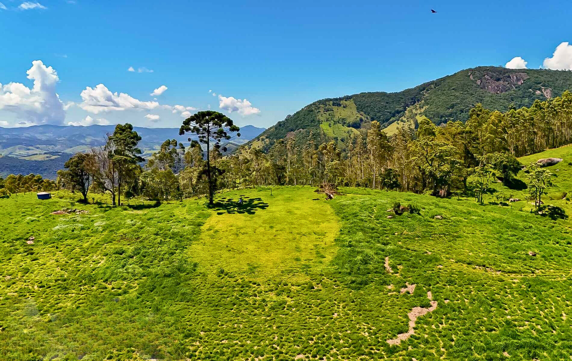 Casa, 3 quartos, 200 m² - Foto 9