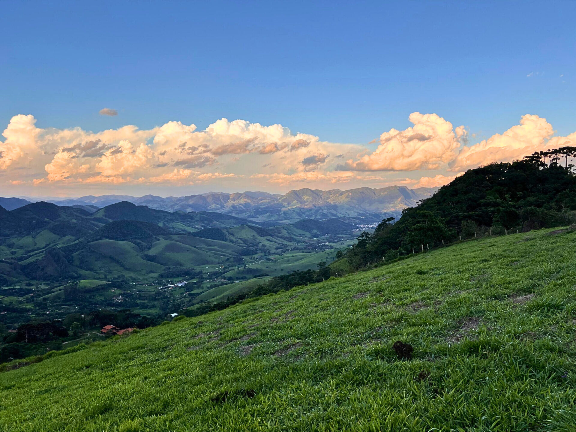 Terreno, 3 hectares - Foto 6