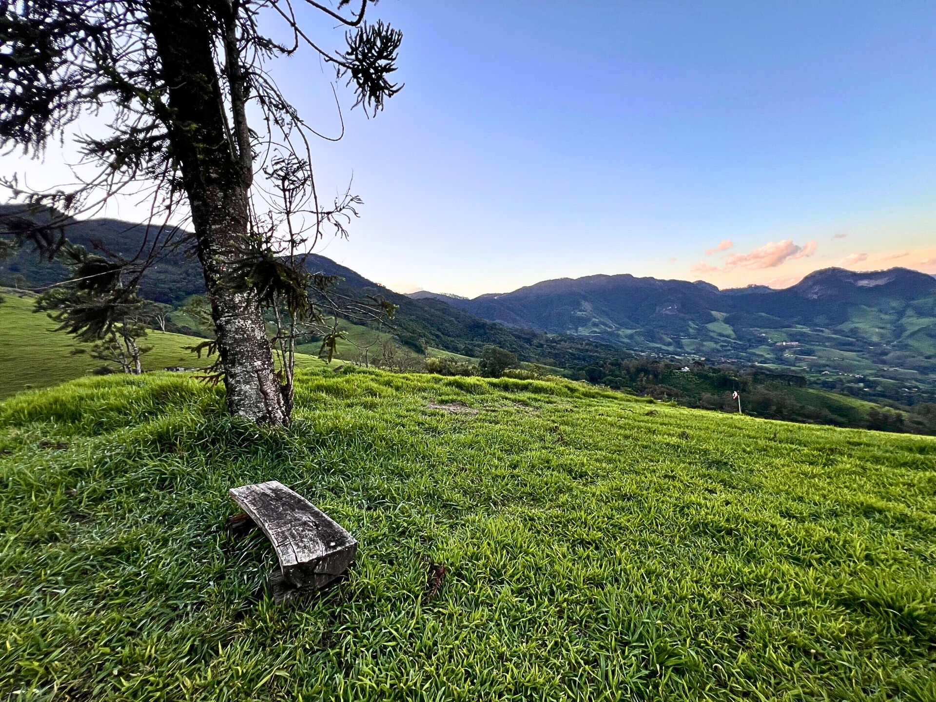 Terreno, 3 hectares - Foto 4