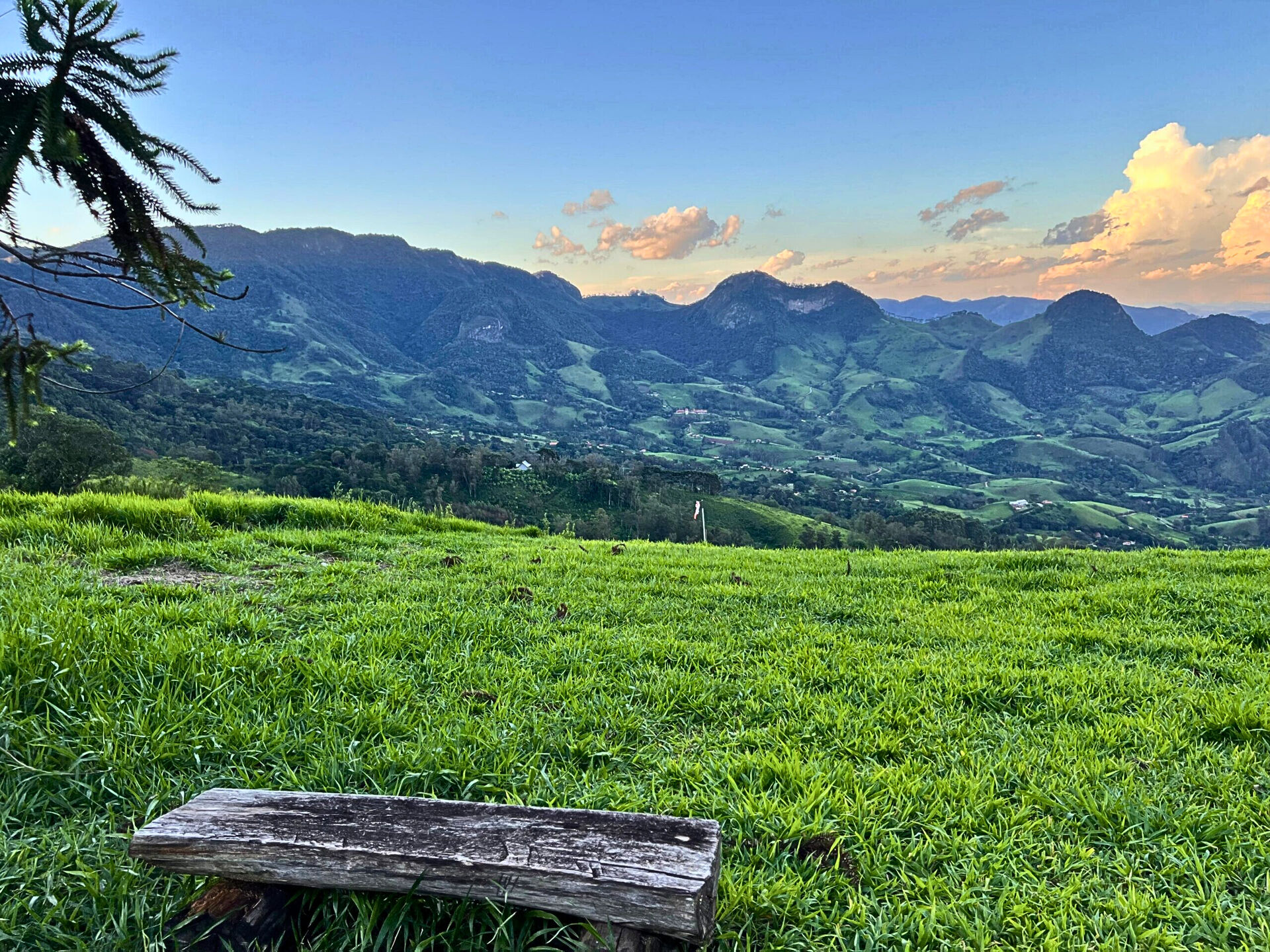 Terreno, 3 hectares - Foto 14