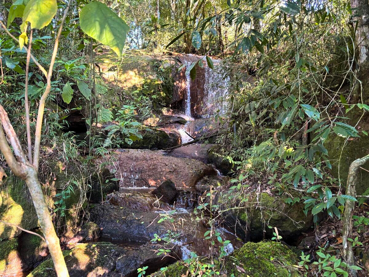 Terreno, 11 hectares - Foto 17