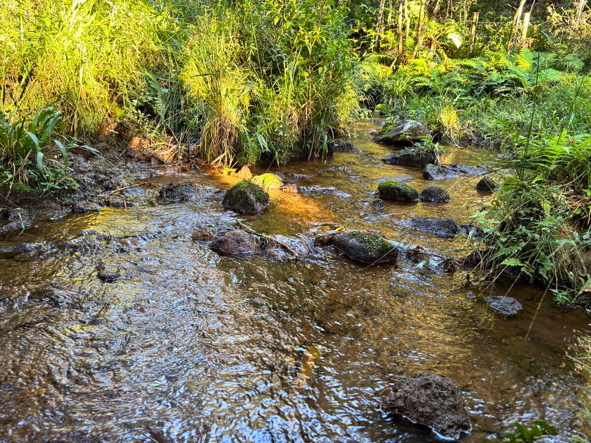 Terreno, 11 hectares - Foto 11