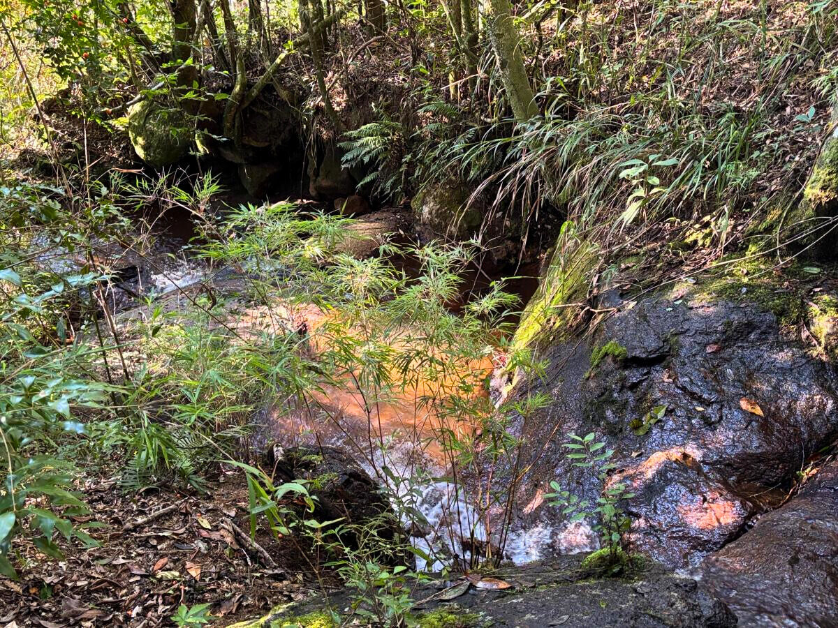 Terreno, 11 hectares - Foto 9