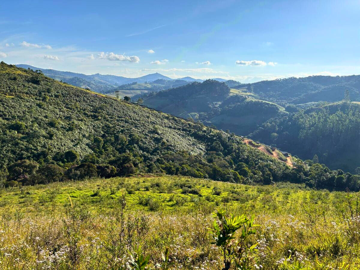 Terreno, 11 hectares - Foto 3