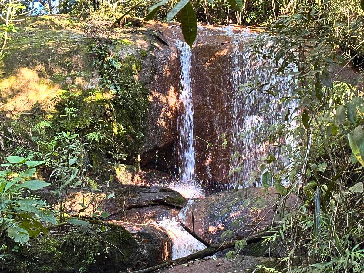 Terreno, 11 hectares - Foto 18