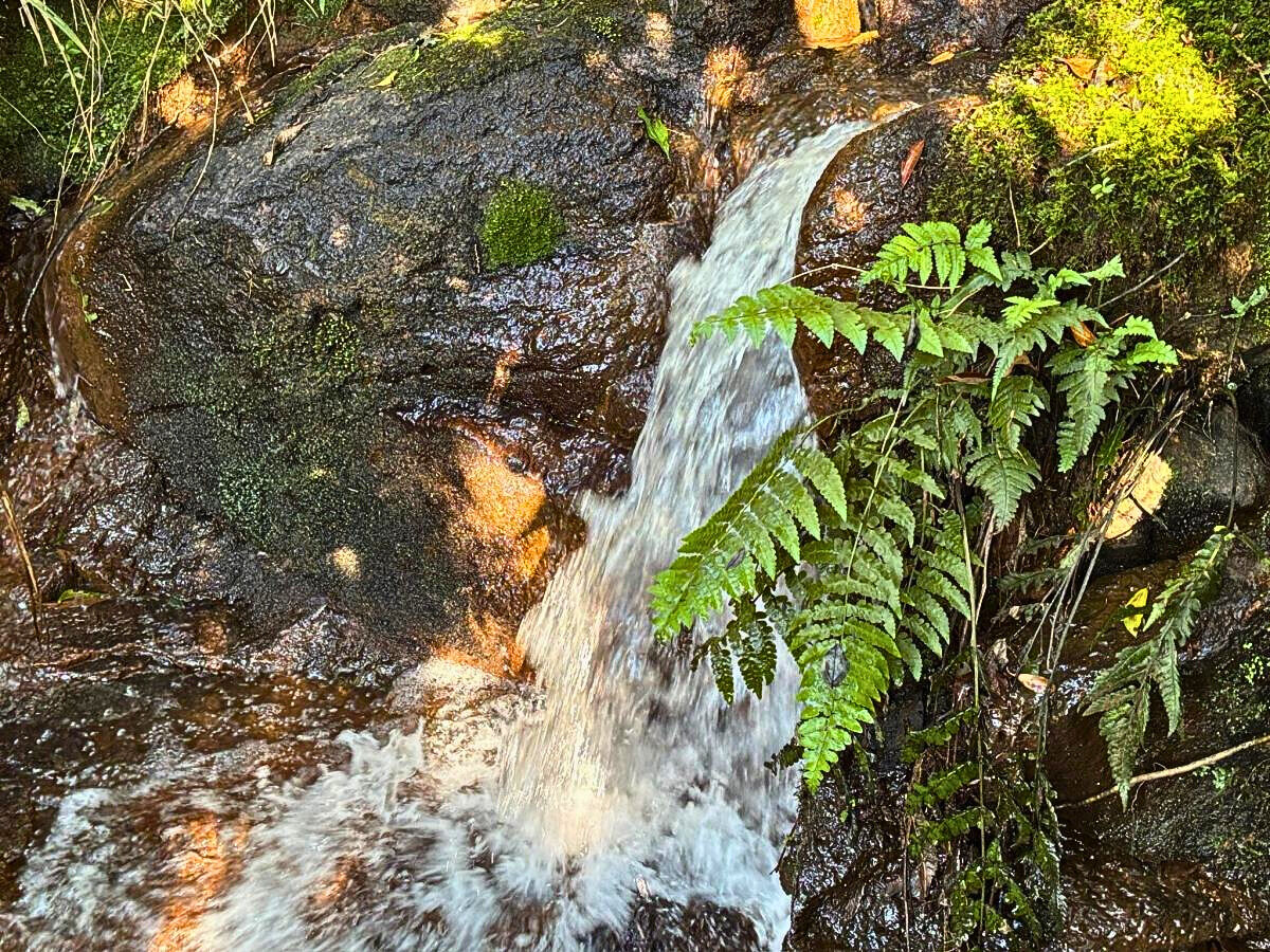 Terreno, 11 hectares - Foto 16