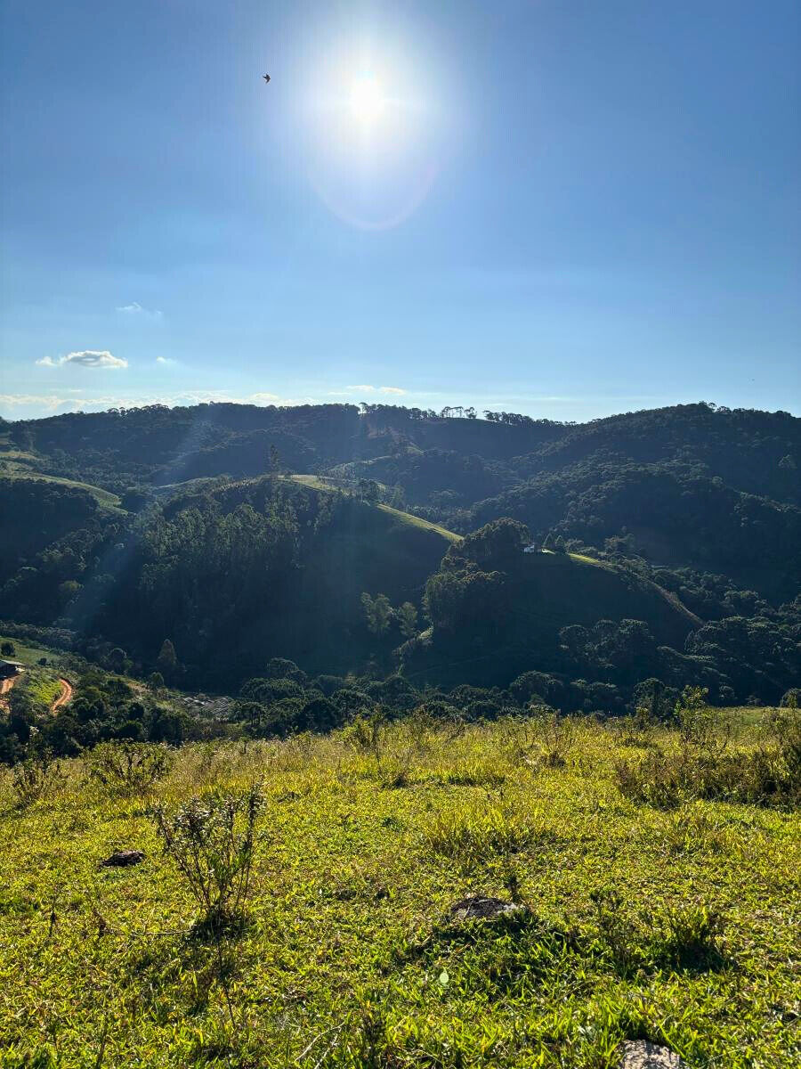 Terreno, 11 hectares - Foto 4