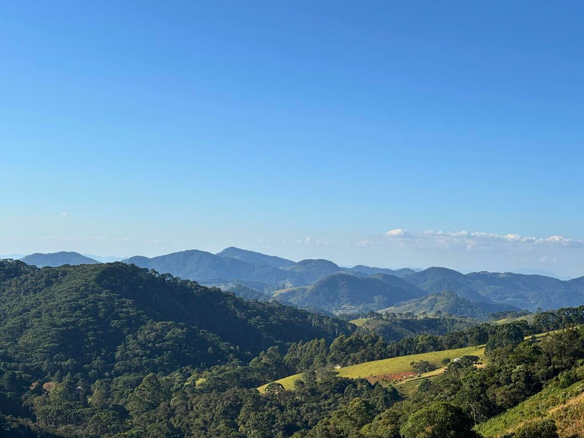 Terreno, 11 hectares - Foto 7