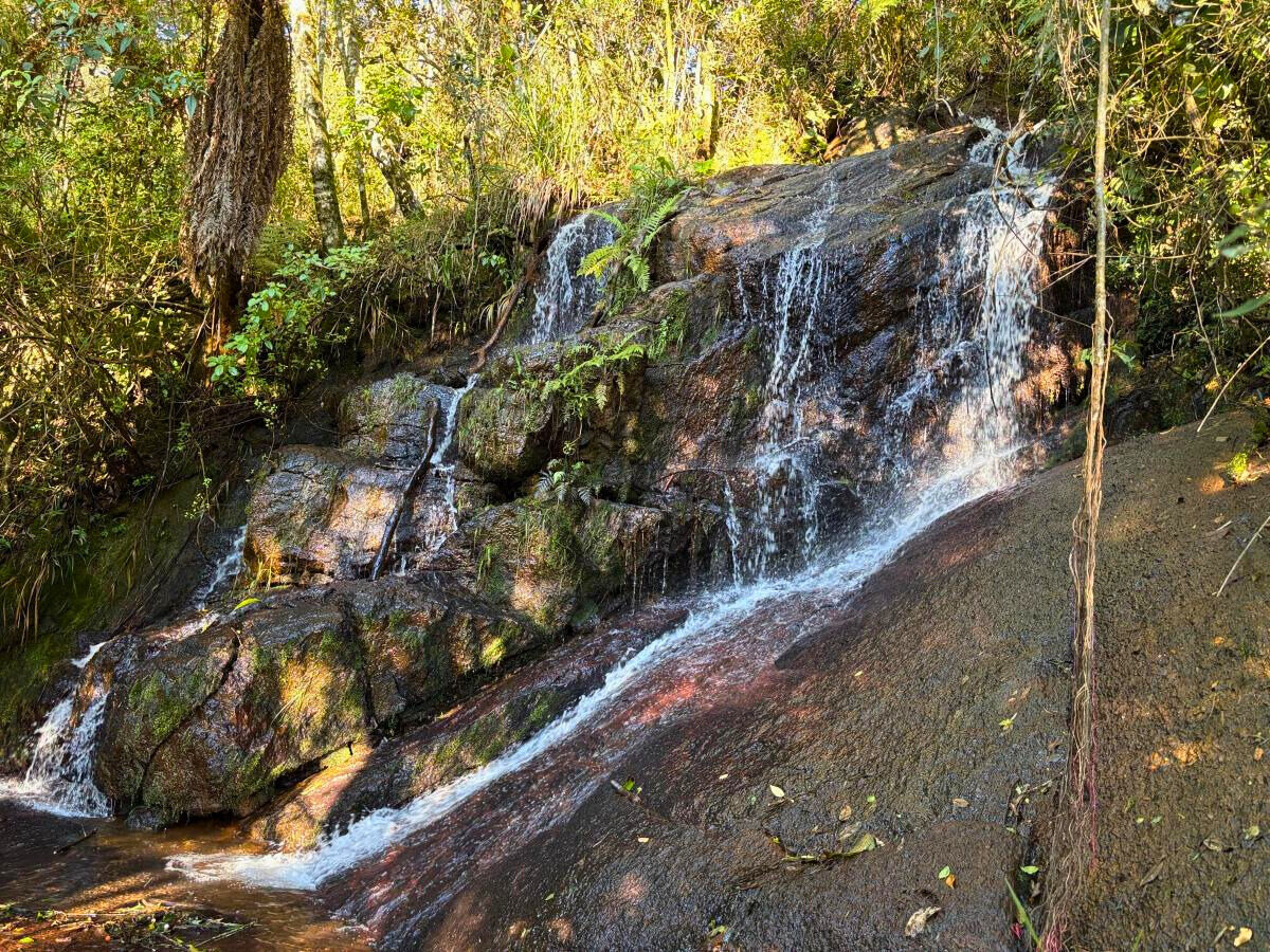 Terreno, 11 hectares - Foto 8