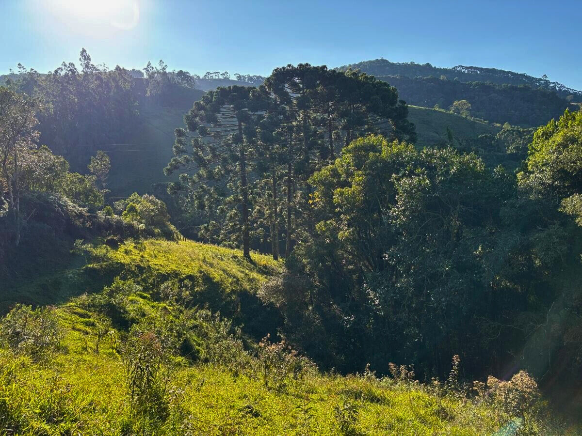 Terreno, 11 hectares - Foto 13