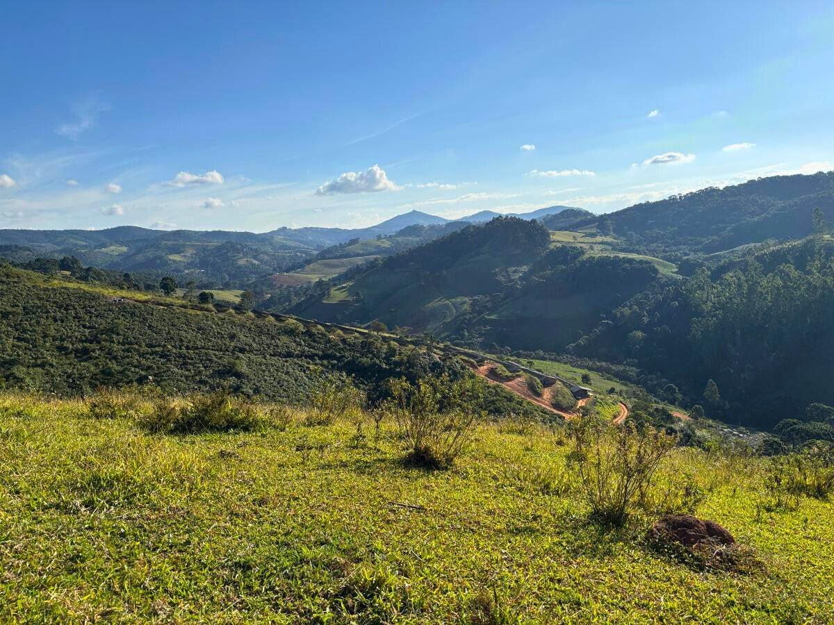 Terreno, 11 hectares - Foto 1