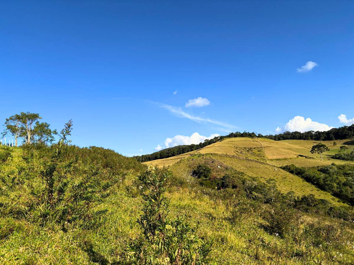 Terreno, 11 hectares - Foto 2