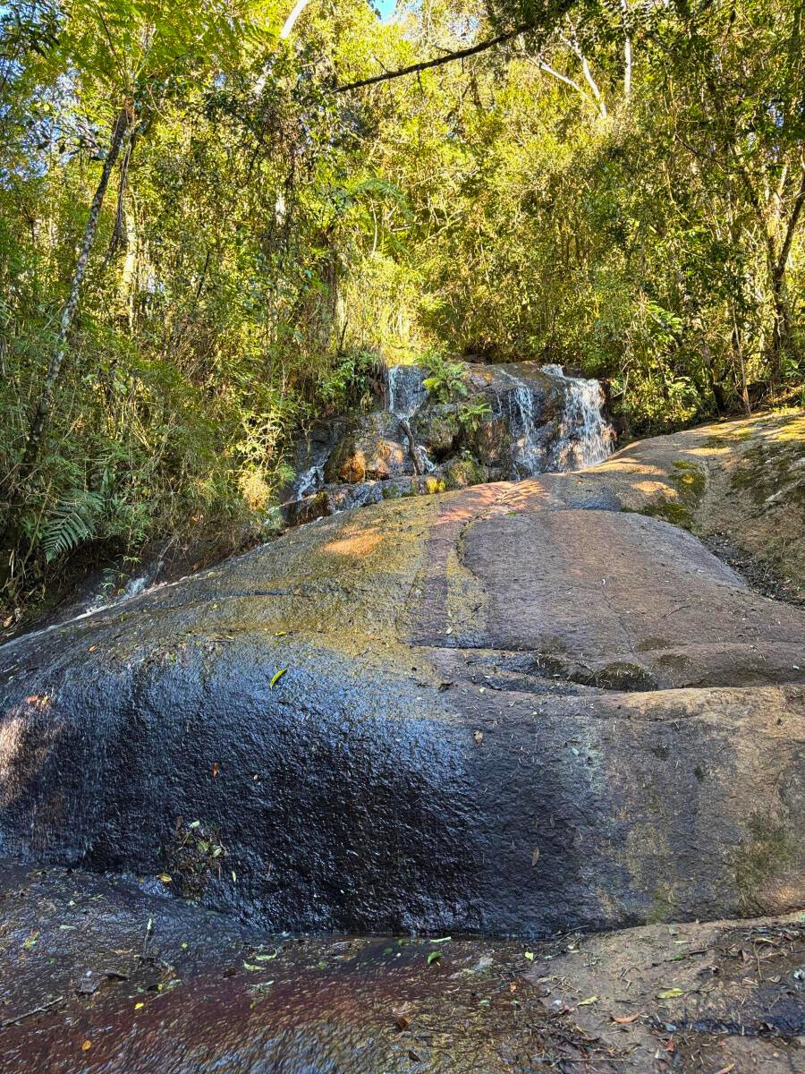 Terreno, 11 hectares - Foto 10