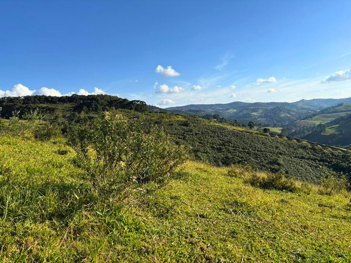 Terreno, 11 hectares - Foto 6