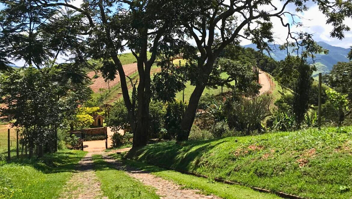 Sítio, 5 quartos, 2 hectares - Foto 20