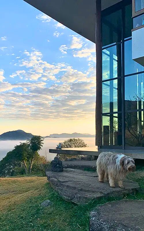 Casa, 5 quartos, 300 m² - Foto 12