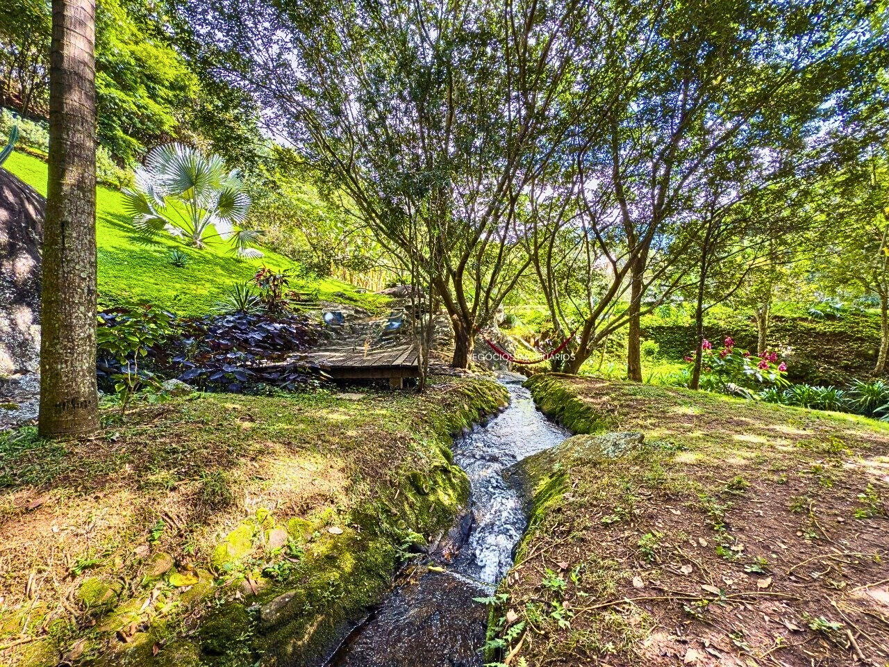 Casa, 5 quartos, 300 m² - Foto 34